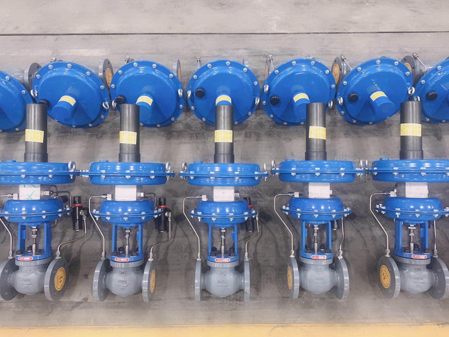 氣體自力微壓式減壓閥