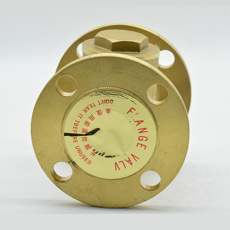 黃銅法蘭止回閥H44W-16T